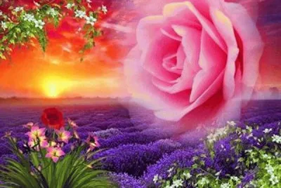 entardecer