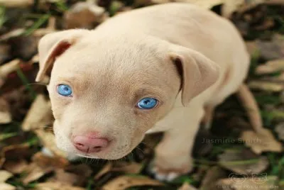 lindo â™¥
