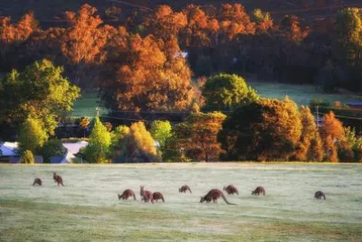 natureza