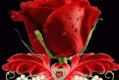 rosas