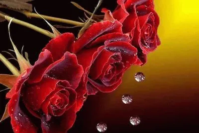 rosas