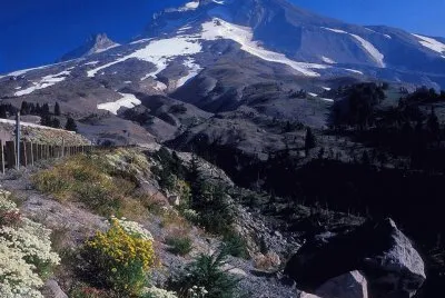 NEVE