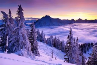 NEVE