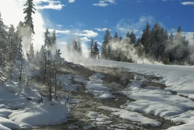NEVE