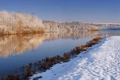 NEVE