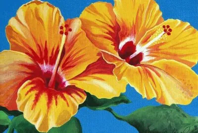Tropical Beauties