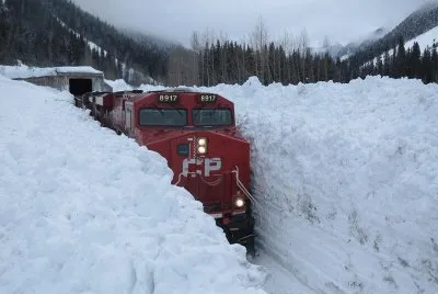 NEVE