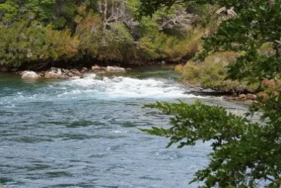 PN Los Alerces. Provincia de Chubut. Argentina