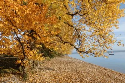 automne 2015
