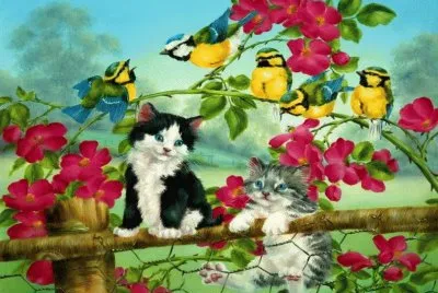 zg 6rd 35sd  866fzu