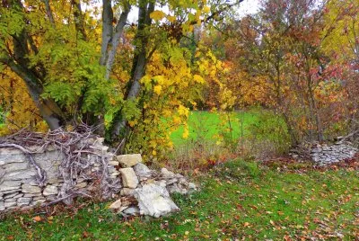 vieux murs