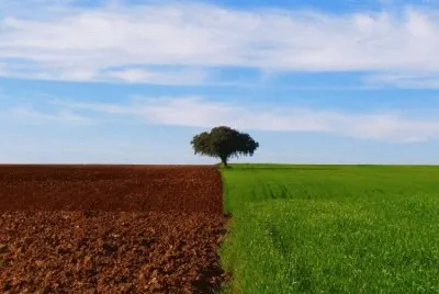 Natureza