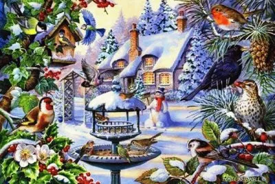 neve