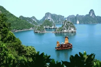 vn9