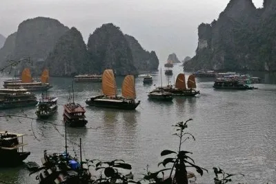 vn10