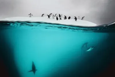 mar