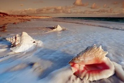 mar