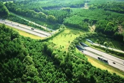 paisagens