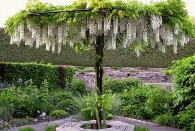 paisagens