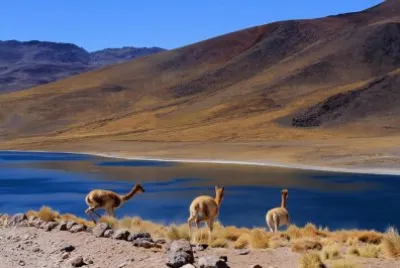 paisagens