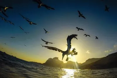paisagens