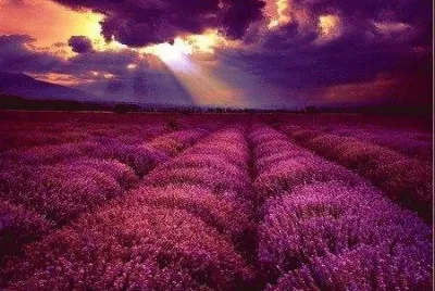 paisagens