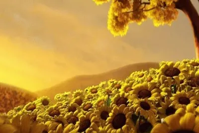 paisagens