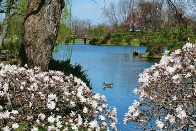 paisagens