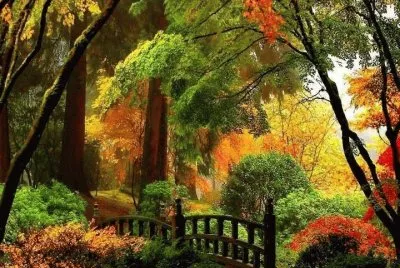 paisagens