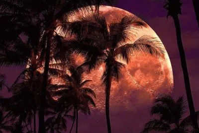 paisagens