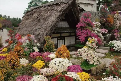paisagens