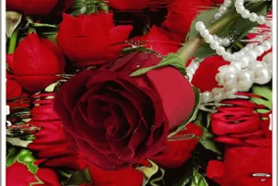Blumen