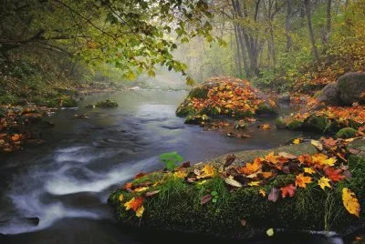 Autumn Stream jigsaw puzzle