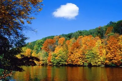 Autumn Lake jigsaw puzzle