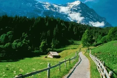 Natureza