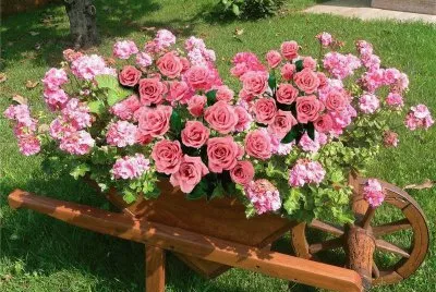 flor jigsaw puzzle