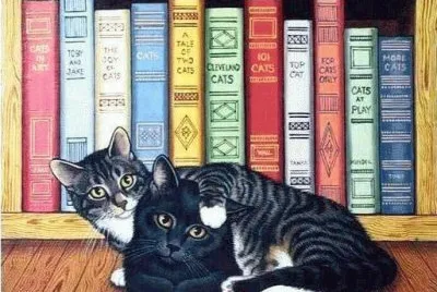 libri