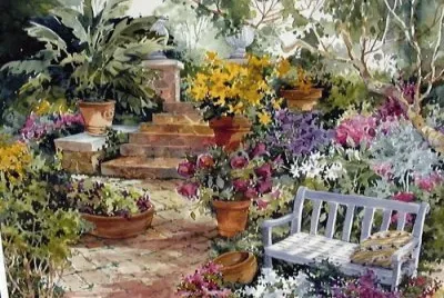 imagenes