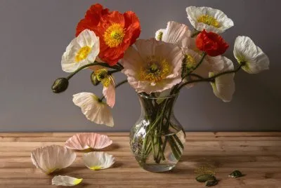 Pintura de Flores