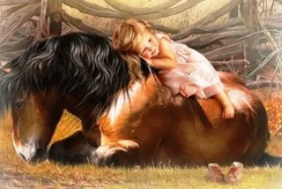 cavalo