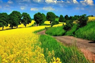 paisagens