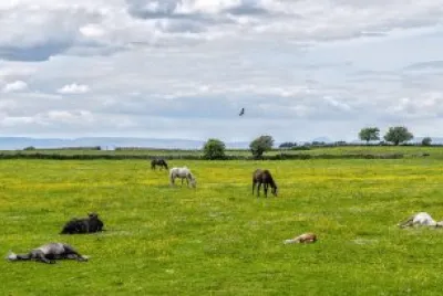 paisagens