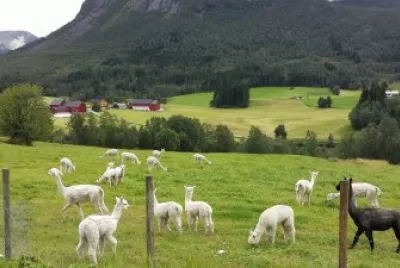 paisagens