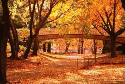 autumn-108