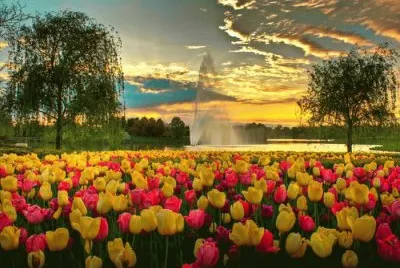 Natureza