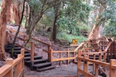 Bosque de Arrayanes. NeuquÃ©n. Argentina