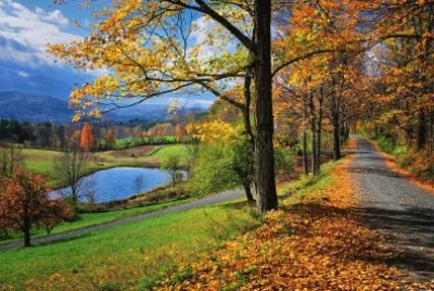 Natureza