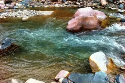 RÃ­o Vacas. Mendoza. Argentina