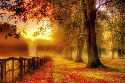 paisagens