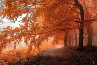 paisagens